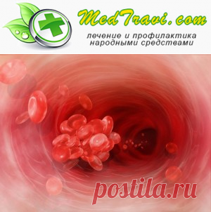 Разжижение крови народными средствами - принципы разжижения, народные рецепты