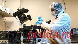 Российские ученые выяснили причину разрушения нервных клеток при деменции - Телеканал 