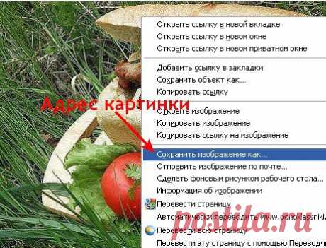 Как быстро вставить в пост на ЛиРу картинку из Интернета