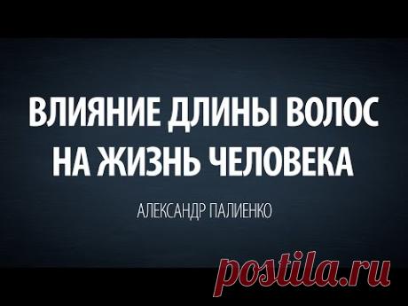 Влияние длины волос на жизнь человека. Александр Палиенко.