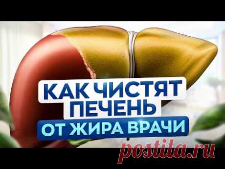 Жирная печень – ВОТ, что нужно делать! Лучший способ очистить печень от жира