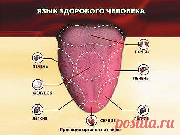 (5) Одноклассники