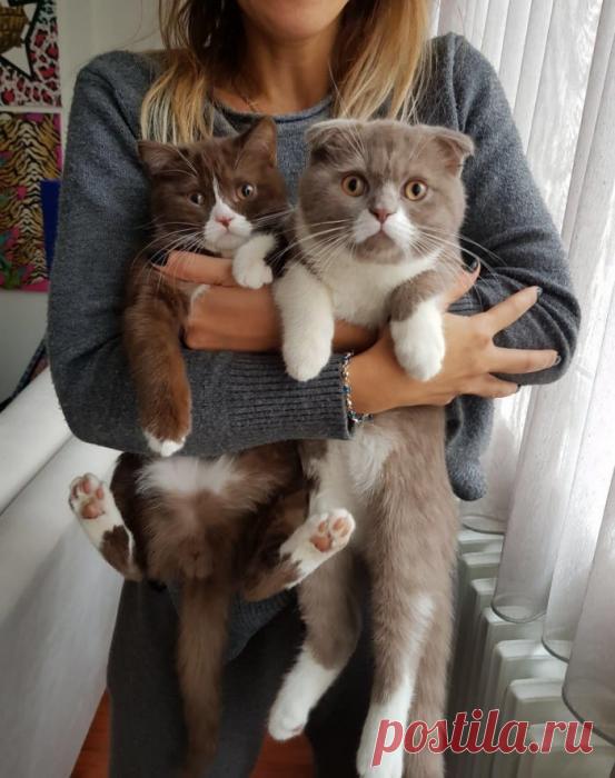 Охапка счастья:)