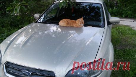 ambaranow в Твиттере: «https://t.co/RLbXYCGCnu»