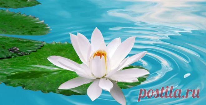 Я обращаюсь на четыре стороны света к четырем стихиям и прошу их в едином потоке указать мне мое предназначение! | Верхосвет