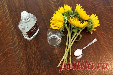 Самые необычные, но эффективные способы использование водки во благо