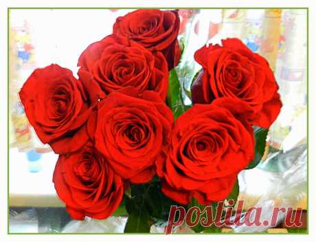 розы для Лены