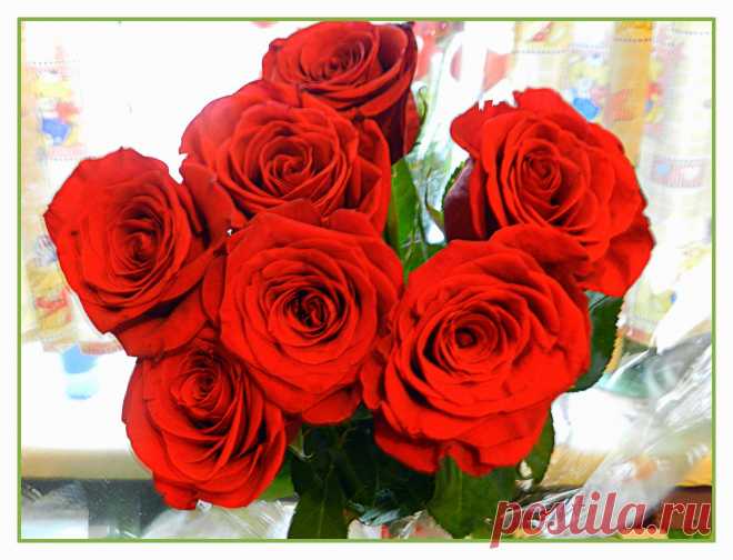 розы для Лены