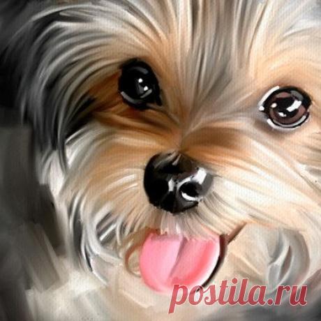 Adorable!....look at the sparkle in his eyes! | Art - Instruction &amp; Tutorials