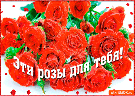 Розы лишь для тебя - Бесплатные Открытки на otkritkiok.ru