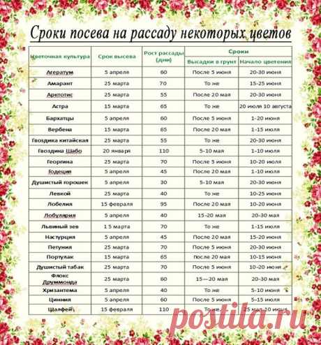 1 непрочитанный чат