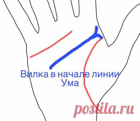 Вилка в начале линии Ума. | Виктория Кутукова | Яндекс Дзен