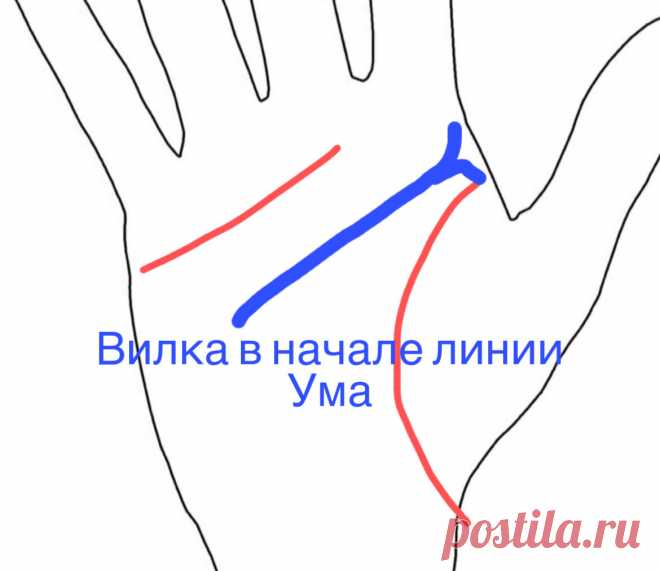 Вилка в начале линии Ума. | Виктория Кутукова | Яндекс Дзен