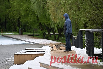 Москвичам назвали срок первого снегопада
