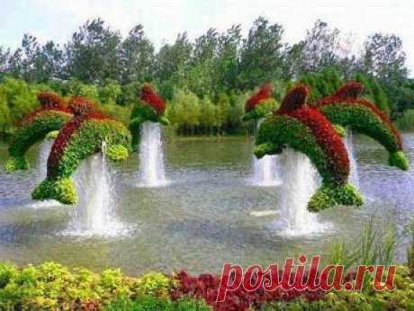 Google+