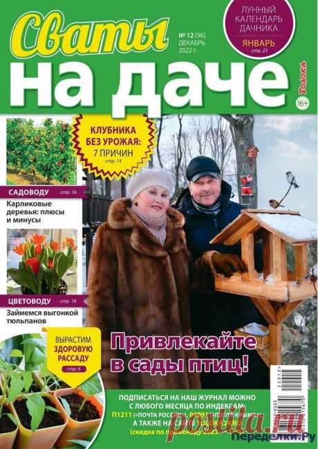 Сваты на даче №12 2022 * Переделки.Ру Сваты на даче №12 2022 Читать журнал ОНЛАЙН