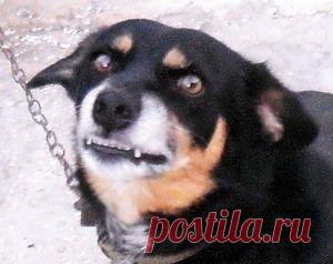 Ожидание - 13 Ноября 2015 - Персональный сайт