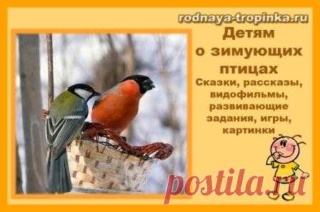 Зимующие птицы