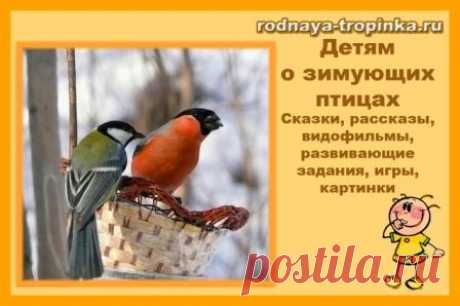 Зимующие птицы