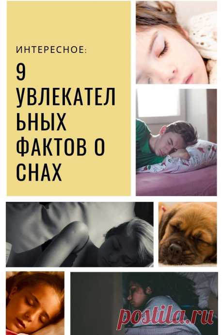 Факты о снах. Сон – это неотъемлемая часть нашей жизни. Даже во время пребывания в утробе матерей большинство из нас путешествовало в царство Морфея. В сновидениях мы плавали или летали, но, по-видимому, не придавали этому особого значения, поэтому и не запомнили. Так что же мы знаем о снах, которые посещают нас каждую ночь? Приготовьтесь удивляться!