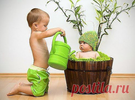 (33) Одноклассники
