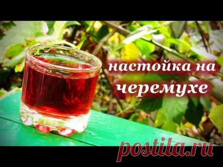 (6) Настойка на черемухе - YouTube