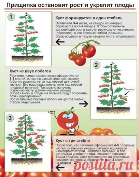 Одноклассники
