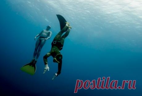 Глубокое погружение | Публикации | Вокруг Света