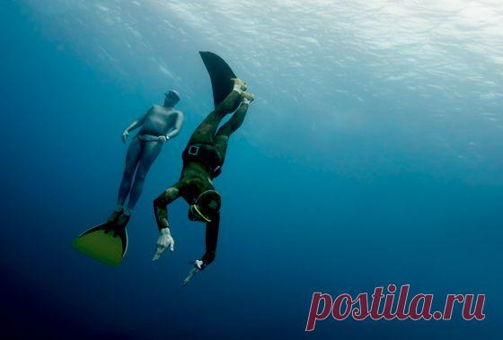 Глубокое погружение | Публикации | Вокруг Света