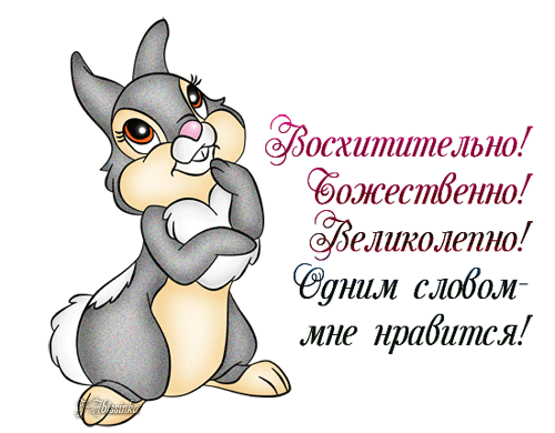 "В душе звенит гармошка" 9.03.2014 | В МОЕЙ ДУШЕ ПОЁТ ГАРМОНЬ | Группы Мой Мир