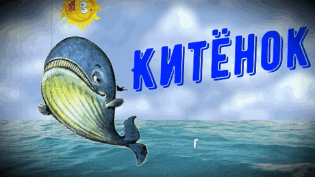 Жил в одном море китёнок. И не просто китёнок. Нет, нет!