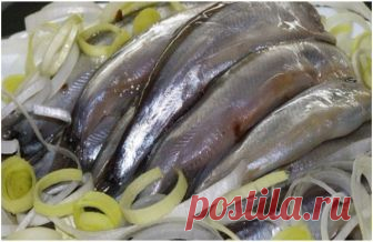 Лучшие закуски из мойвы и салаки 
Эта рыбка многими незаслуженно игнорируется, а ведь она очень вкусная. Пальчики оближешь!
Мойва, между прочим, морская рыба из семейства корюшковых, источник витаминов и минералов (витамина В12 в мой…