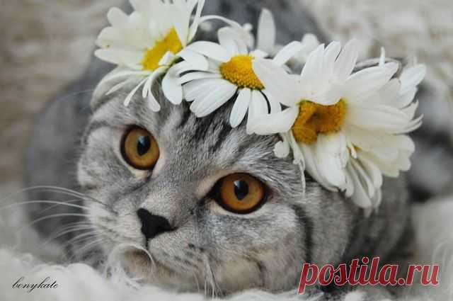 хх