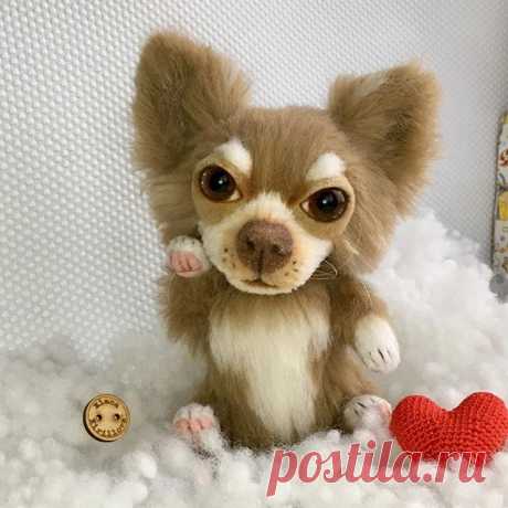 Маленькая Чихуахуа с большим сердцем!🐕Не лает, не кусает , только согревает!☀️. Малышка ростом 16см до ушей. Появилась благодаря совместным усилиям с Катей Макогон @katyamakogon 🤗🤗. #chihuahua#toydog #чихуахуа #собачка #игрушкасобака #портретпитомца #собака #мастеркрафт#dog #toy #artist #artlife  #teddybear #мишкитедди #собачкатедди #artoninstagram  #toyterrier #dogportrait #dog  #memorypet #memorydog  #chihuahualove #Chihuahuapotogram #teddybear #仲良しこよし #体型全くちゃうから可愛らしい...