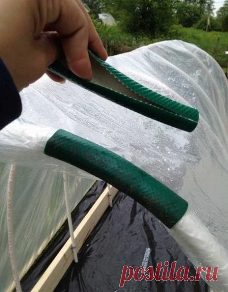 Необычное применение садового шланга на даче. | мастер на все руки | Яндекс Дзен