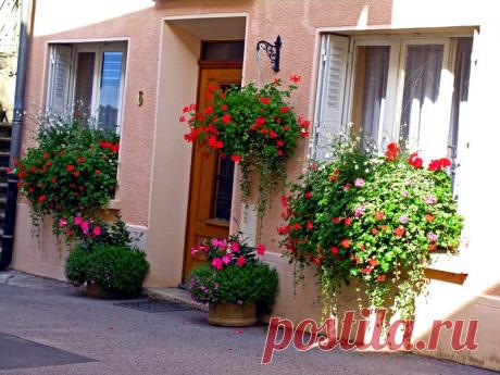 ЦВЕТОЧНЫЕ БАЛКОНЫ И ОКНА | Самоцветик