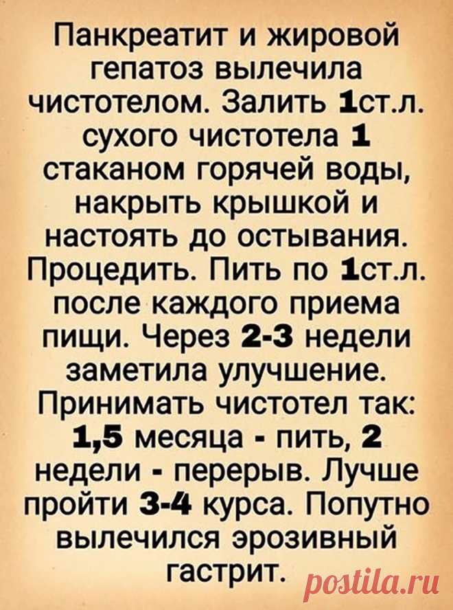Жировой гепатоз и панкреатит - лечение чистотелом