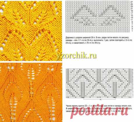 Листья парные