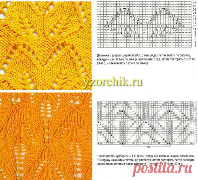 Листья парные