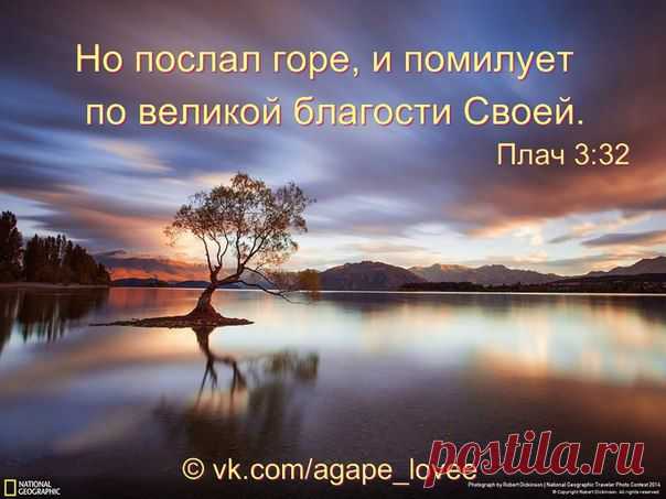 ♥...Агапэ...♥