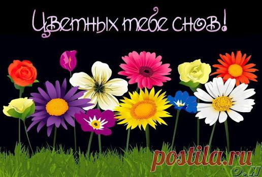 Открытки с пожеланием спокойной ночи и приятных снов. Cтраница 14