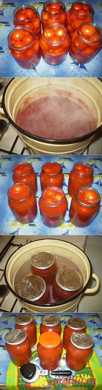 Помидоры в собственном соку - Наш мир