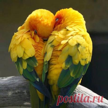 АлинАнжелика Королева
Испания, Барселона