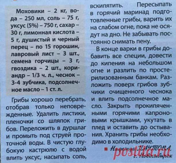 ЗАГОТОВКИ НА ЗИМУ.
  Ароматные моховики.