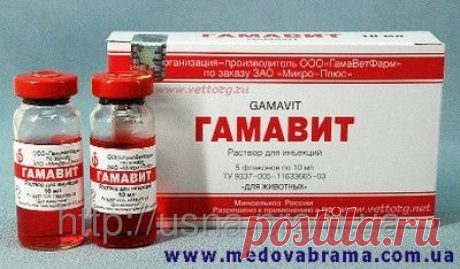 Гамавит – биотоник для животных (10 мл): продажа, цена в Киеве. ветеринарные иммуностимуляторы от &quot;Юсна Киев Prom&quot; - 1610971