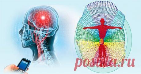 IPAR. Синтез Востока и Запада