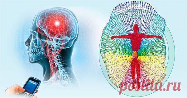 IPAR. Синтез Востока и Запада