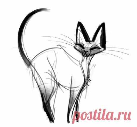 «Результаты поиска по запросу "рисунки кошек" в Яндекс.Картинках» — карточка пользователя slavashishaev в Яндекс.Коллекциях