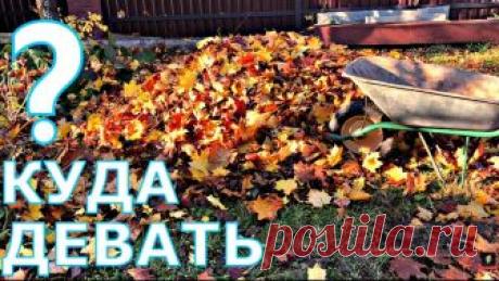 ОПАВШУЮ ЛИСТВУ КАК ИСПОЛЬЗОВАТЬ?