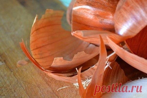 7 ПРИЧИН СОБИРАТЬ ЛУКОВУЮ ШЕЛУХУ / Только машины